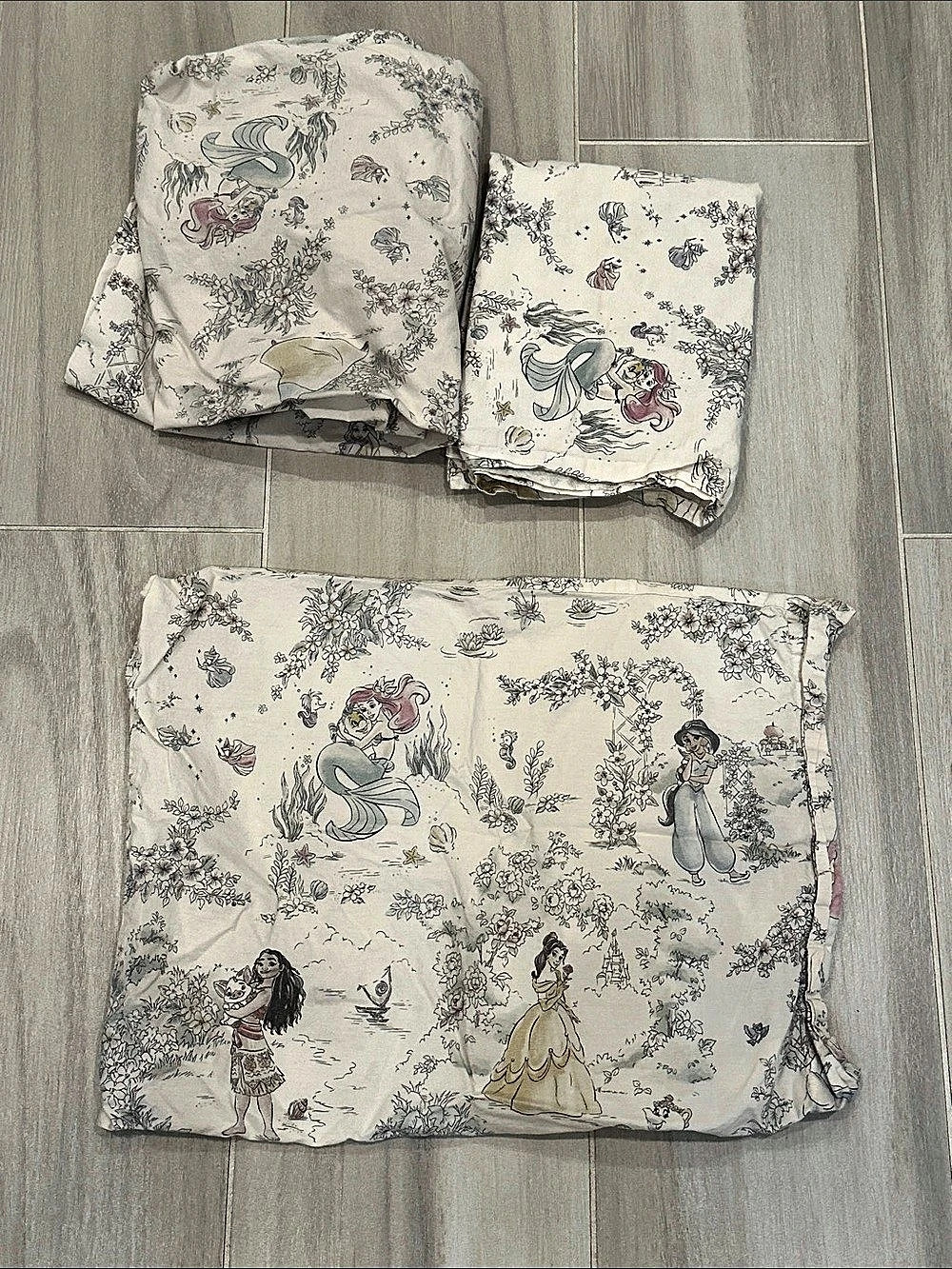 Pottery Barn Kids Disney Princess Floral Sleep Sack Set